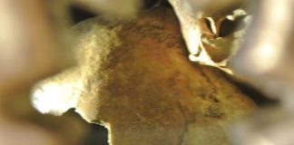 Videos de las ceremonias en el Pueyo con motivo de la beatificación de los mártires