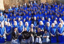 Florecen glicinas en Rusia…