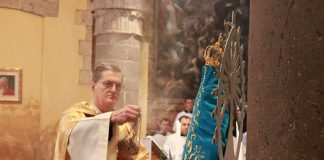 Felicitación Navideña del Superior General del IVE