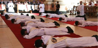 Ordenaciones en Argentina: 7 nuevos sacerdotes y 5 nuevos diáconos