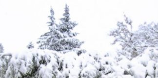 ¡Y NO BAJAN LOS BRAZOS! – Cristianos en Siria