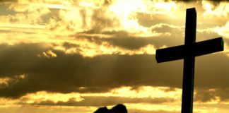 Me dejé caer en sus brazos