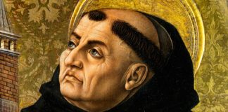 Don Quijote de Aquino