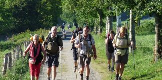 Para rezar con nosotros…