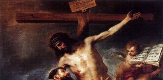 “Sabemos que a los que aman a Dios todo les sirve para el bien”