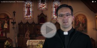“PERSEVERANCIA” SERIE DE VIDEOS SEMANALES (VIDEO)