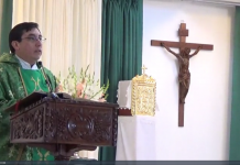 “¿QUÉ FUEGO VINO A TRAER CRISTO DEL CIELO?”, HOMILÍA DEL DOMINGO XX, P. PIERRE MARTÍNEZ (VIDEO)