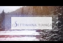 VIDEO: CAMPAMENTO EN UCRANIA