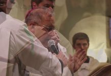 Institución de Ministerios de Acolitado y Lectorado 2018 – San Rafael, Mendoza, Argentina