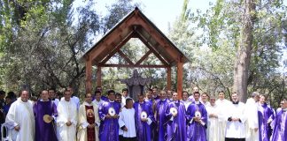 Fotos y videos de la semana: 6 de diciembre de 2019