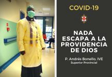 Nada escapa a la Providencia de Dios