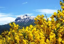 ¡Qué lindo que es octubre!