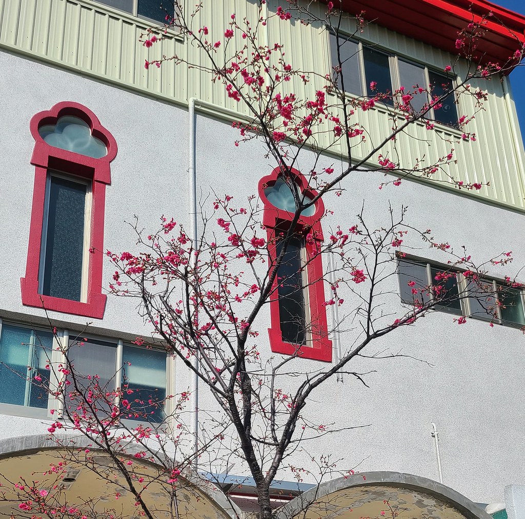 Taiwán - Primavera en el Monasterio Nuestra Señora de Sheshán