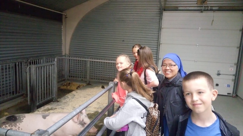 Islandia - Salida con los niños al Zoológico