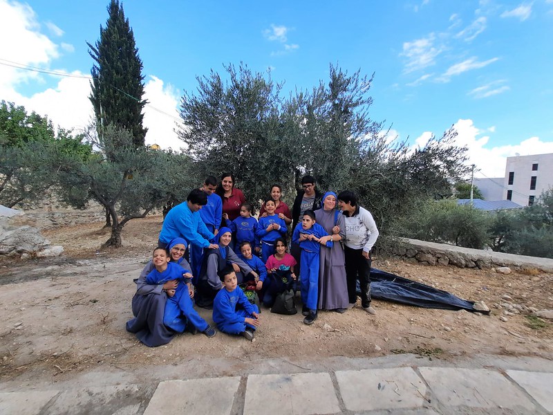 Tierra Santa - Cosecha de aceitunas con los niños del Hogar de Belén