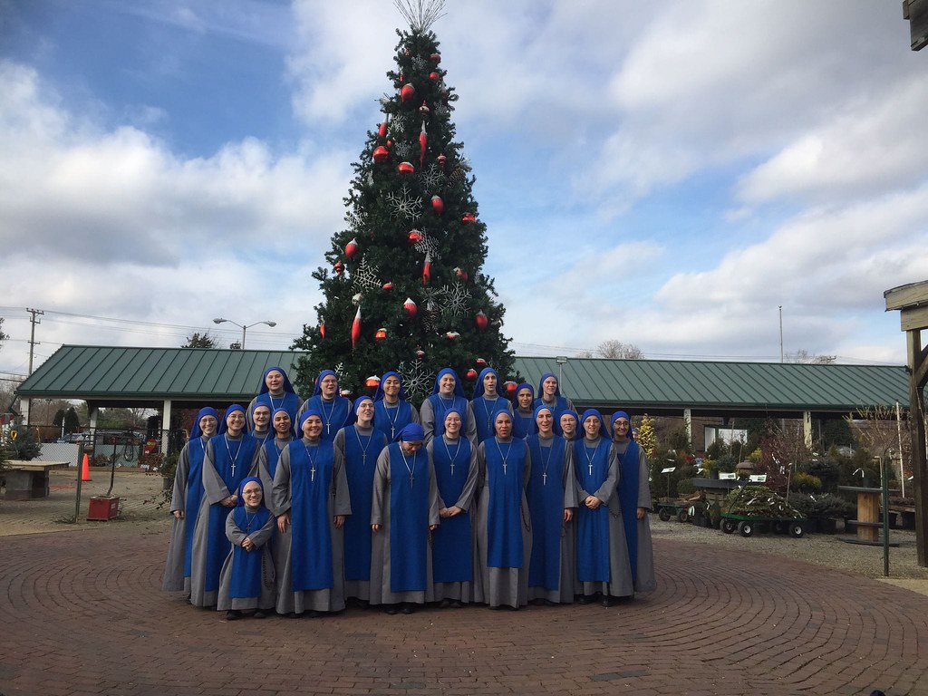 Estados Unidos - Buscando un Árbol de Navidad para el Estudiantado