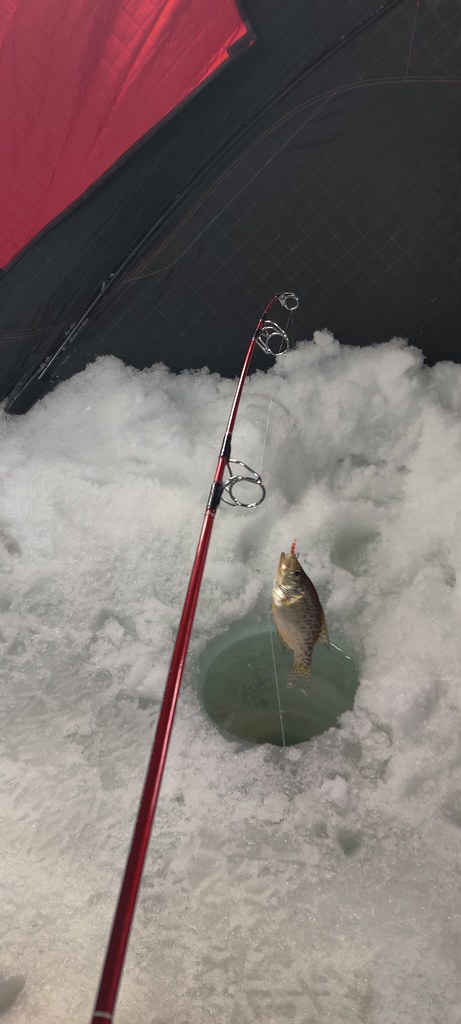 Estados Unidos - Pescando con el Seminario Menor