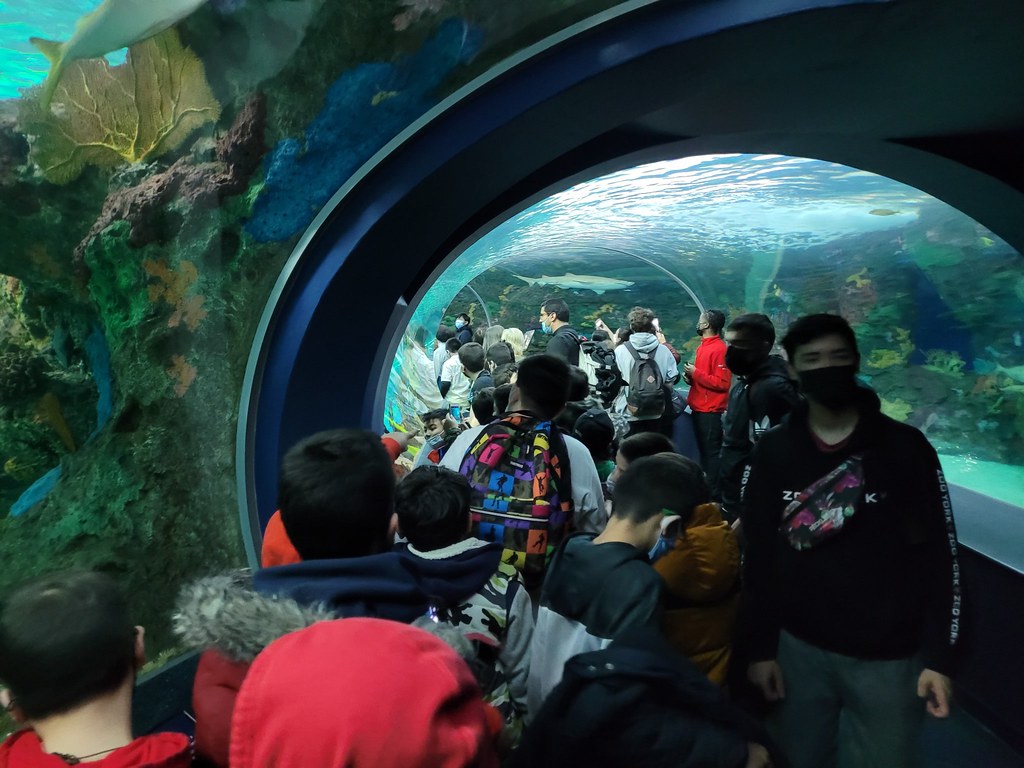 Canadá - Salida al Acuario con los niños de Catecismo