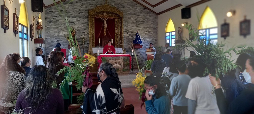 Ecuador - Domingo de Ramos en el Seminario Menor