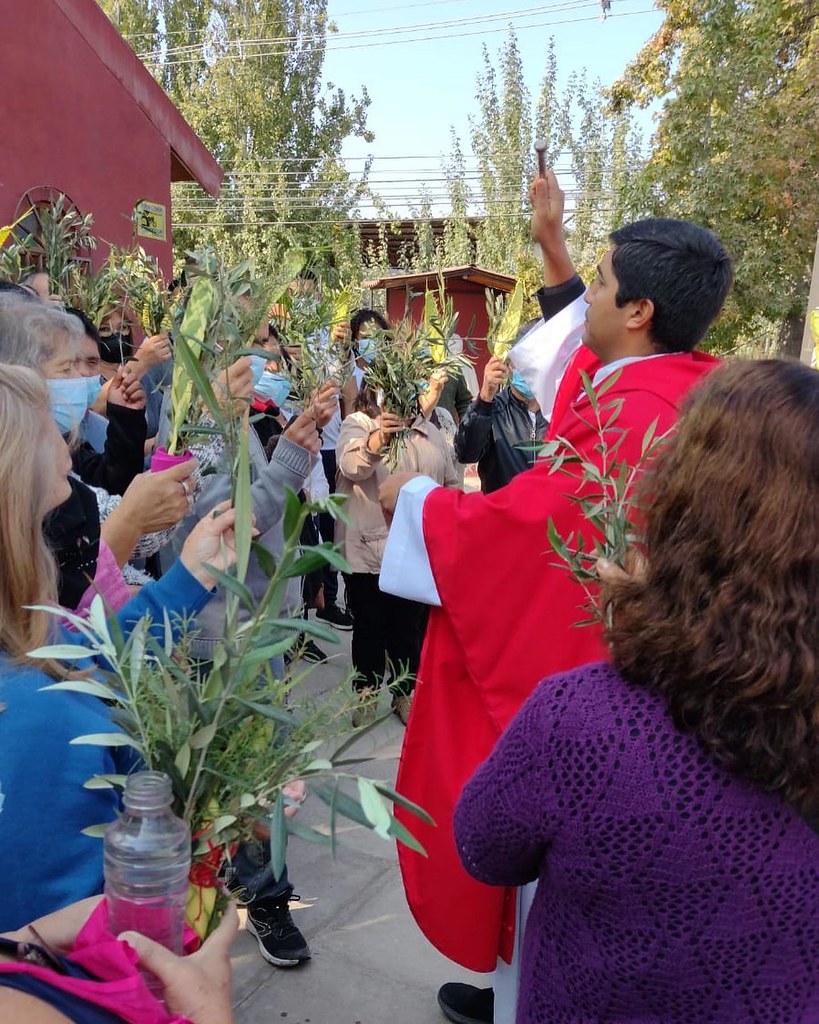 Chile - Domingo de Ramos en el Hogar