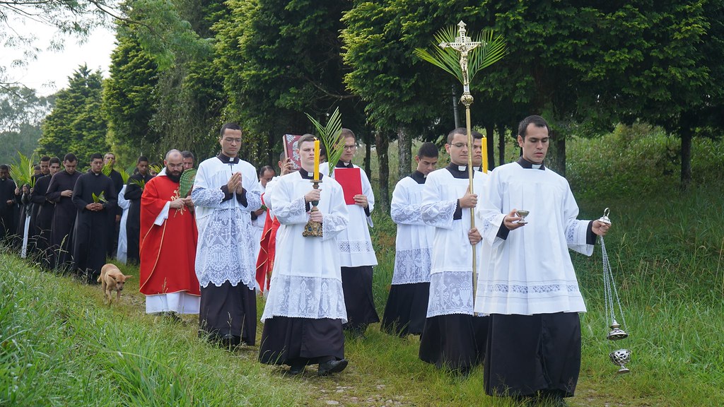 Brasil - Domingo de Ramos en el Seminario Mayor