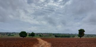 Lluvias, Ejercicios, elefantes, casamientos, y más