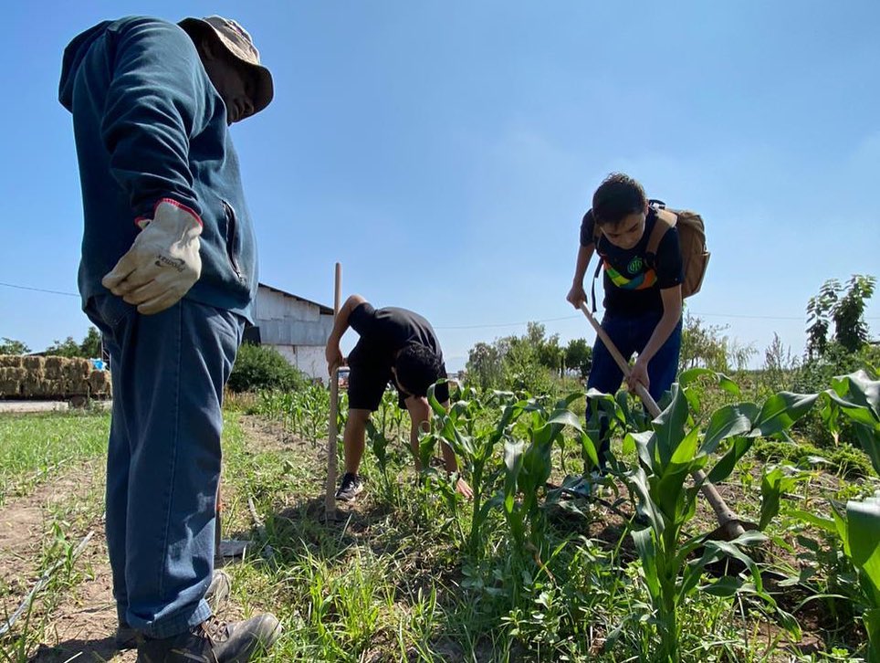 Chile - Voluntariado en el Hogar Sagrado Corazón