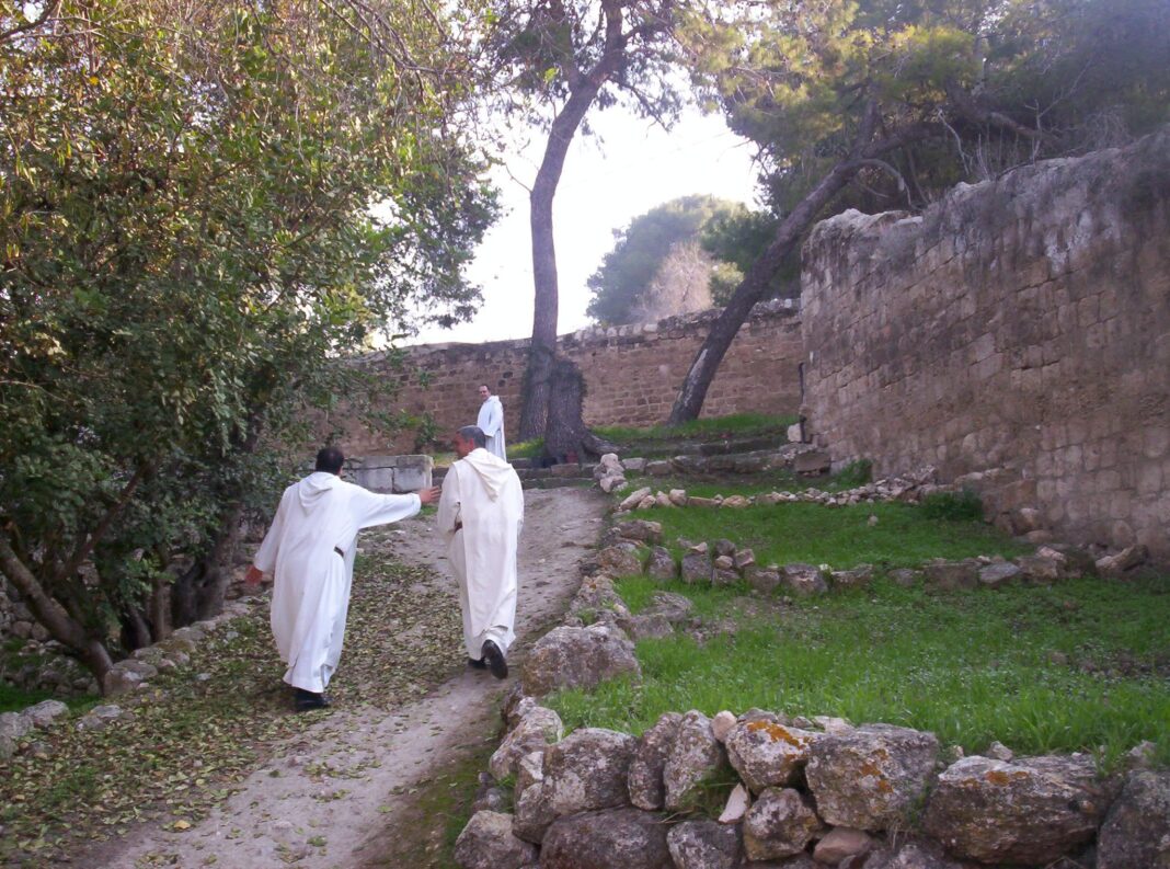 351815373_117312481381933_3522860795613938929_n